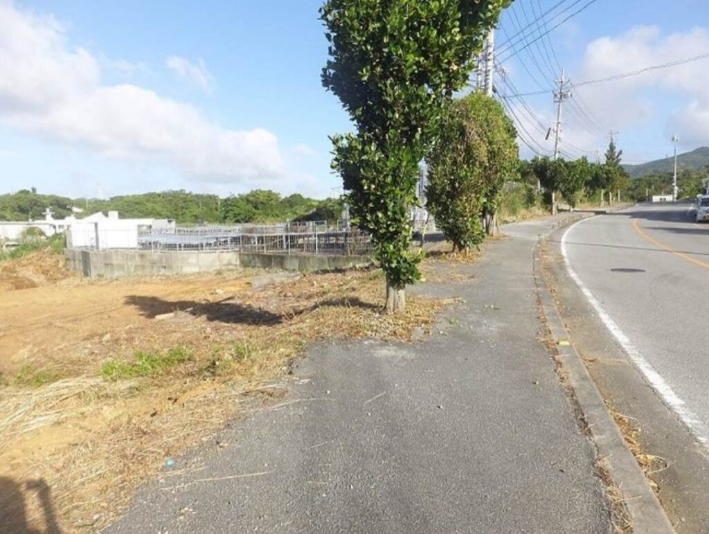 本部町辺名地１,８１６.５万円土地